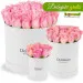 Pink roses in a white box