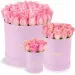 Pink roses in a pink box