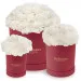 White carnations in a red box