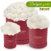 White carnations in a red box