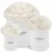 White carnations in a white box
