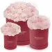 Pink carnations in a red box