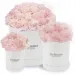 Pink carnations in a white box