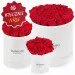 Eternal red roses in black gift box
