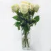 9 białych róż