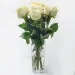 9 white roses