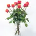 9 tea roses