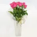 9 pink roses
