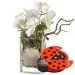 Best of Luck ... with chocolate ladybird