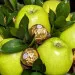 Bouquet of green apples
