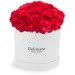 Red carnations in a white box