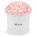 Pink carnations in a white box