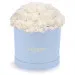 White carnations in a blue box