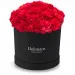 Red carnations in a black box