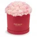 Pink carnations in a red box