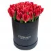 Red tulips in a black box