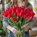 Charming tulips 