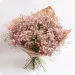 Bukiet różowej gipsówki