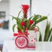 Loving Guzmania with treats