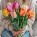 Kwiaty -  kolorowe tulipany