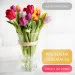 Kwiaty do domu - Tulipany
