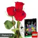 Red roses with LEGO bricks
