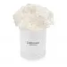White carnations in a white box