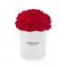 Red carnations in a white box