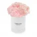 Pink carnations in a white box