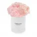 Pink carnations in a white box