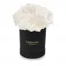 White carnations in a black box