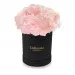 Pink carnations in a black box