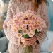 Bouquet of pink marguerite 