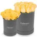 Yellow roses in a grey box