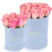 Pink roses in a blue box