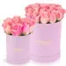 Pink roses in a pink box