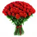 Red roses 9-100 pcs.