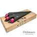 Single pink rose in black cone