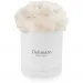 White carnations in a white box