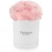 Pink carnations in a white box