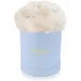 White carnations in a blue box