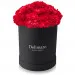 Red carnations in a black box