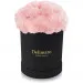 Pink carnations in a black box