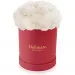 White carnations in a red box