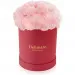 Pink carnations in a red box