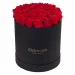 Eternal red roses in black gift box