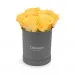 Yellow roses in a grey box