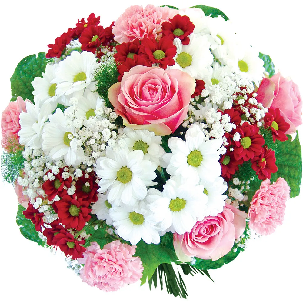 Dream flowers