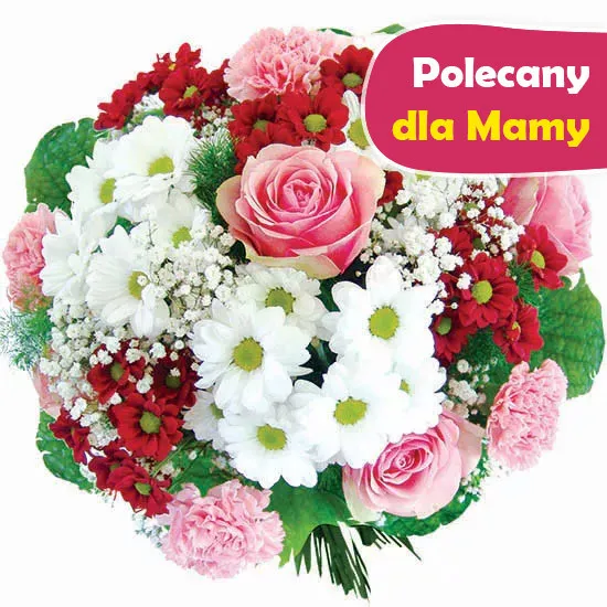 Kwiaty Dream, bajeczny bukiet margaretek i goździków - będzie idealnym prezentem dla każdego