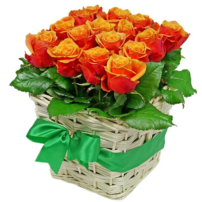 Passion feeling composition, 16 tea roses,  bouquet in a wicker basket tied with a green ribbon